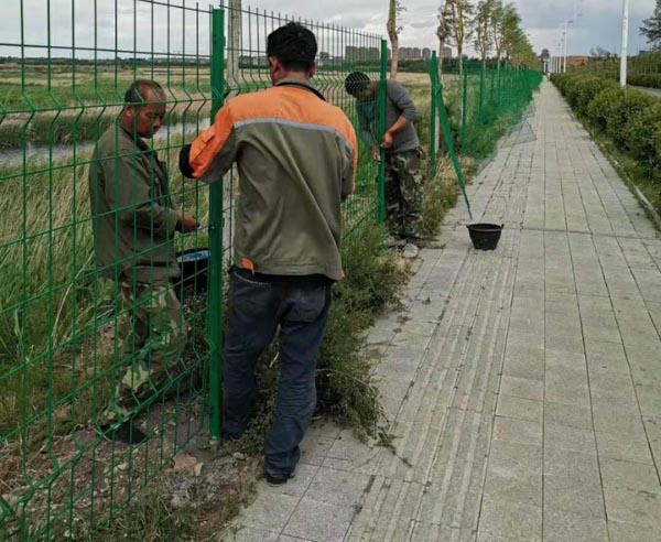 �p߅�z�o�ھW�r��